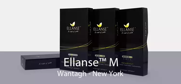 Ellanse™ M Wantagh - New York