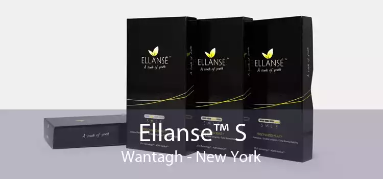 Ellanse™ S Wantagh - New York
