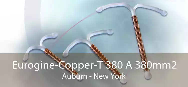 Eurogine-Copper-T 380 A 380mm2 Auburn - New York