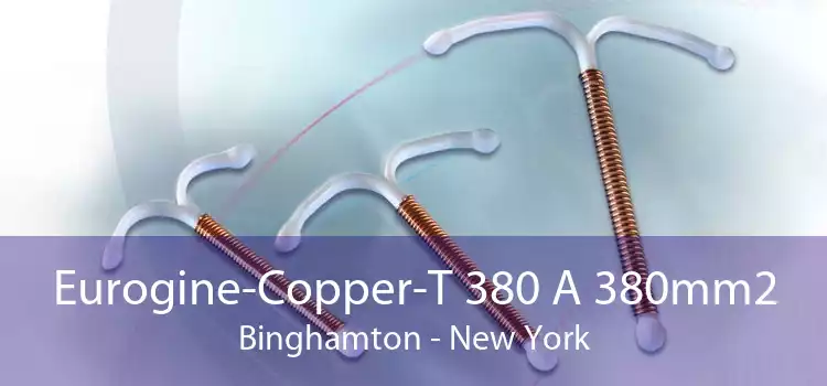 Eurogine-Copper-T 380 A 380mm2 Binghamton - New York