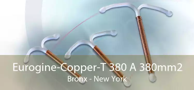 Eurogine-Copper-T 380 A 380mm2 Bronx - New York