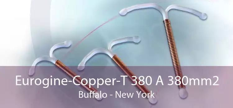 Eurogine-Copper-T 380 A 380mm2 Buffalo - New York