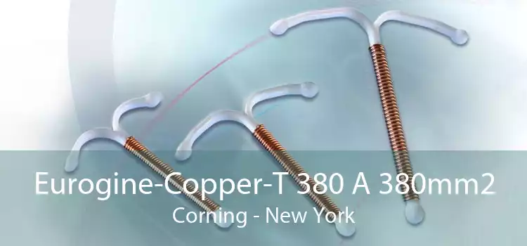 Eurogine-Copper-T 380 A 380mm2 Corning - New York