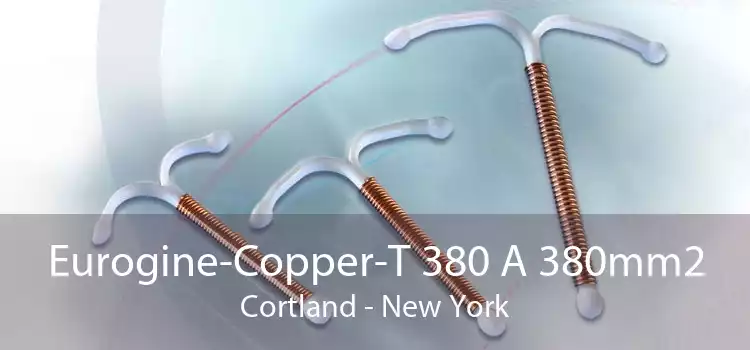 Eurogine-Copper-T 380 A 380mm2 Cortland - New York