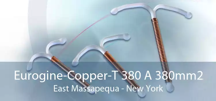 Eurogine-Copper-T 380 A 380mm2 East Massapequa - New York