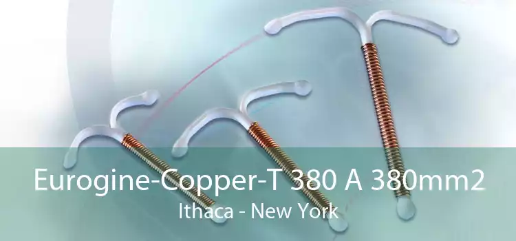 Eurogine-Copper-T 380 A 380mm2 Ithaca - New York