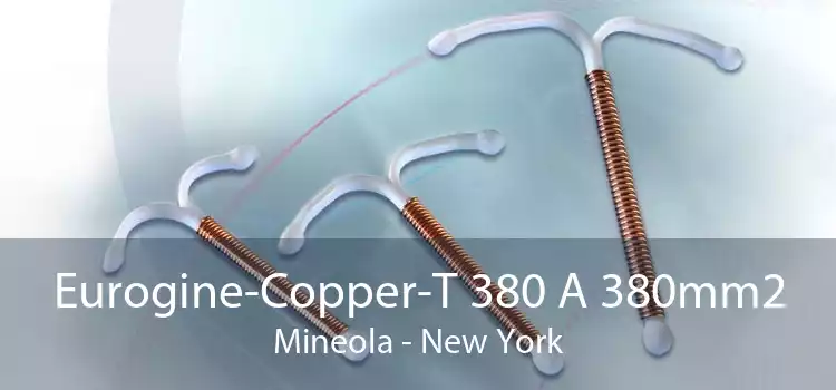 Eurogine-Copper-T 380 A 380mm2 Mineola - New York