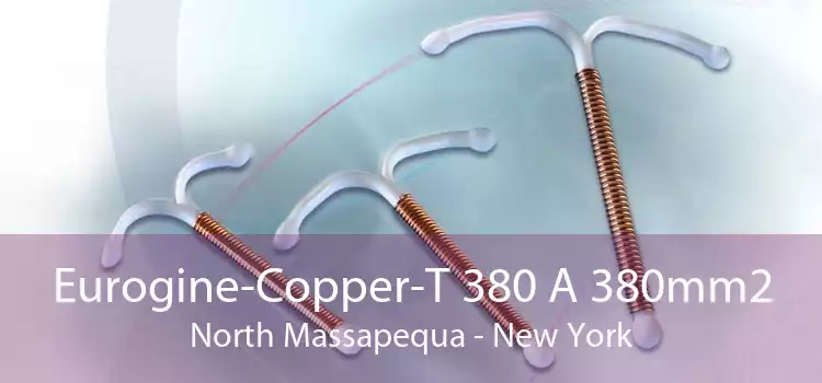Eurogine-Copper-T 380 A 380mm2 North Massapequa - New York