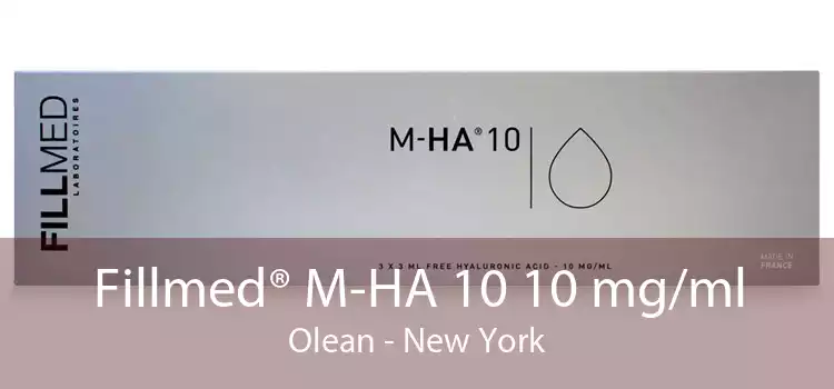 Fillmed® M-HA 10 10 mg/ml Olean - New York