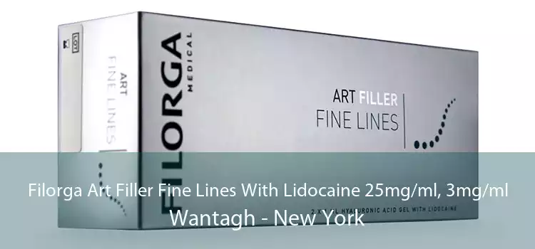 Filorga Art Filler Fine Lines With Lidocaine 25mg/ml, 3mg/ml Wantagh - New York