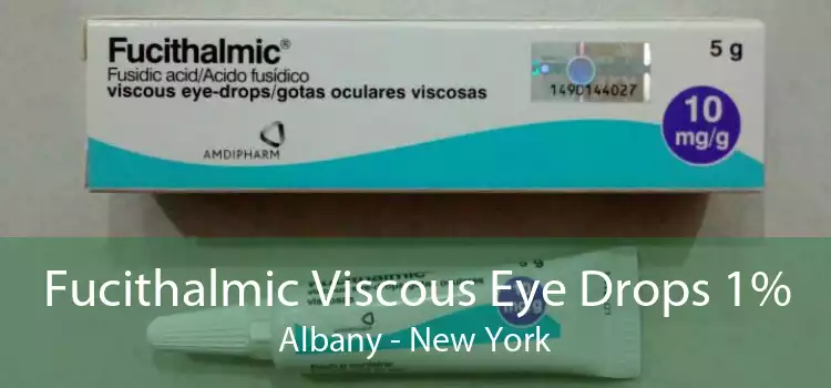 Fucithalmic Viscous Eye Drops 1% Albany - New York