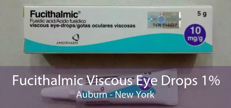 Fucithalmic Viscous Eye Drops 1% Auburn - New York