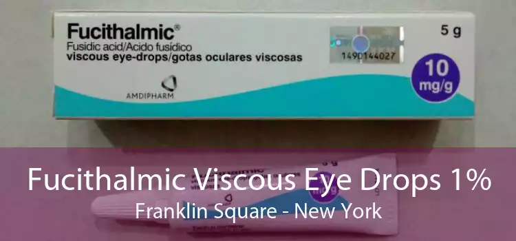 Fucithalmic Viscous Eye Drops 1% Franklin Square - New York
