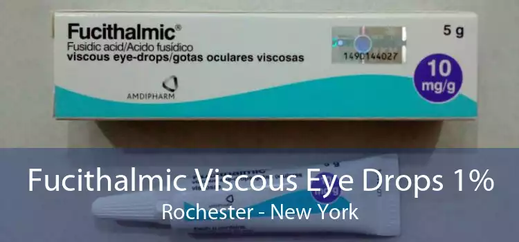Fucithalmic Viscous Eye Drops 1% Rochester - New York