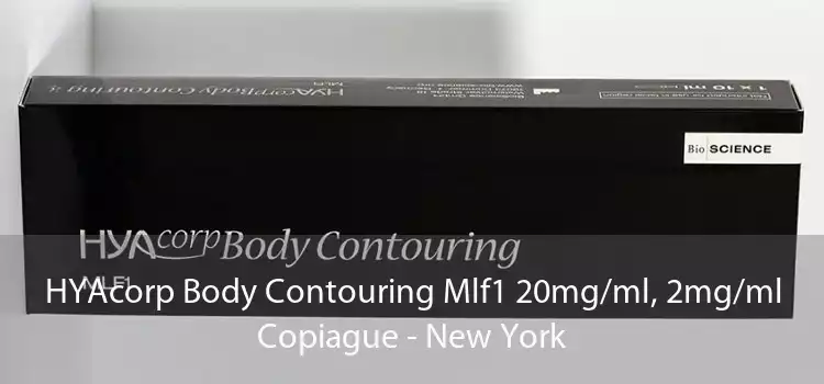 HYAcorp Body Contouring Mlf1 20mg/ml, 2mg/ml Copiague - New York