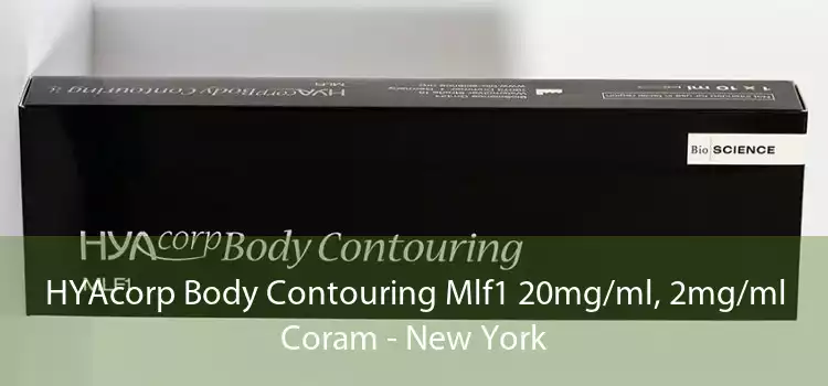 HYAcorp Body Contouring Mlf1 20mg/ml, 2mg/ml Coram - New York
