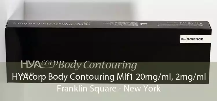HYAcorp Body Contouring Mlf1 20mg/ml, 2mg/ml Franklin Square - New York