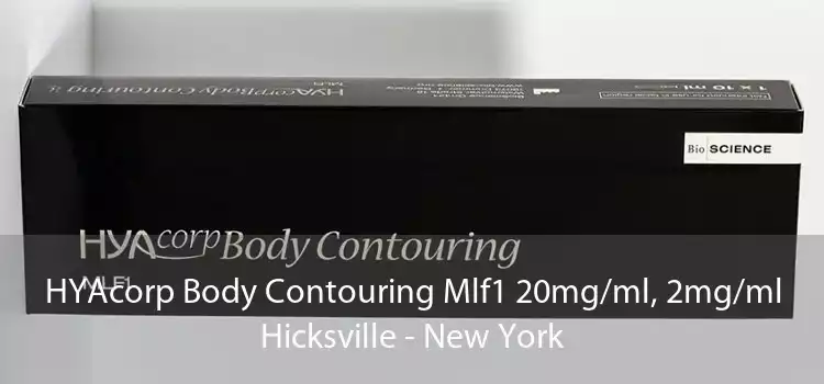 HYAcorp Body Contouring Mlf1 20mg/ml, 2mg/ml Hicksville - New York