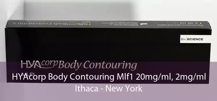 HYAcorp Body Contouring Mlf1 20mg/ml, 2mg/ml Ithaca - New York