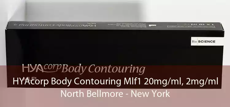 HYAcorp Body Contouring Mlf1 20mg/ml, 2mg/ml North Bellmore - New York