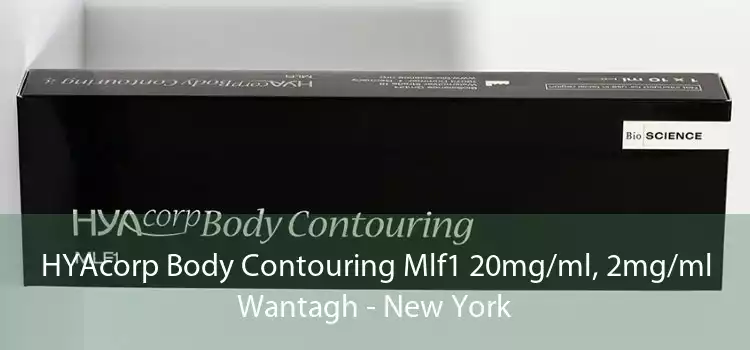 HYAcorp Body Contouring Mlf1 20mg/ml, 2mg/ml Wantagh - New York