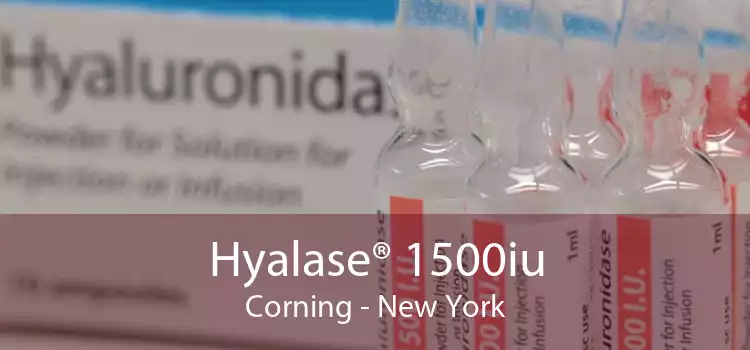 Hyalase® 1500iu Corning - New York