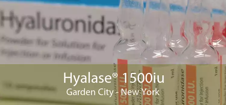 Hyalase® 1500iu Garden City - New York