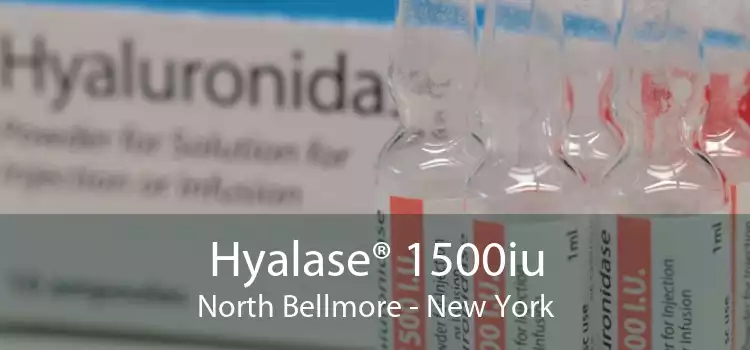 Hyalase® 1500iu North Bellmore - New York