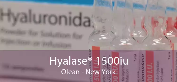 Hyalase® 1500iu Olean - New York