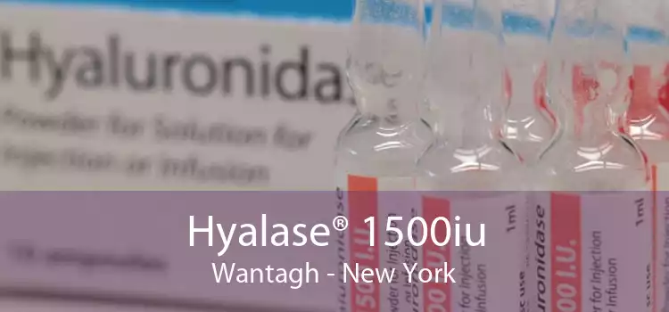 Hyalase® 1500iu Wantagh - New York