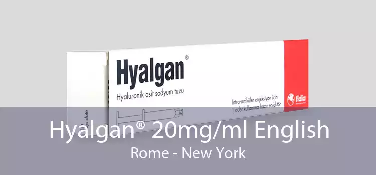 Hyalgan® 20mg/ml English Rome - New York
