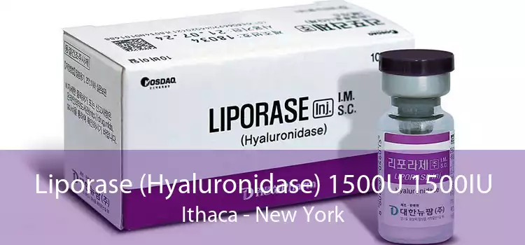 Liporase (Hyaluronidase) 1500U 1500IU Ithaca - New York
