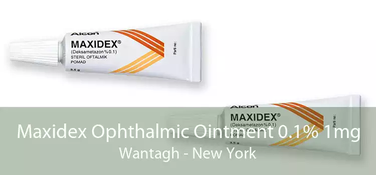 Maxidex Ophthalmic Ointment 0.1% 1mg Wantagh - New York