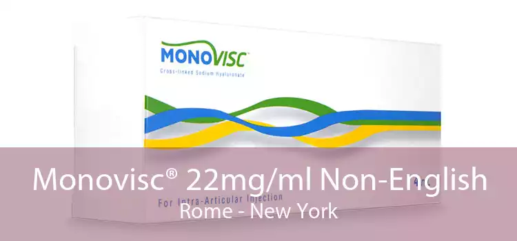 Monovisc® 22mg/ml Non-English Rome - New York