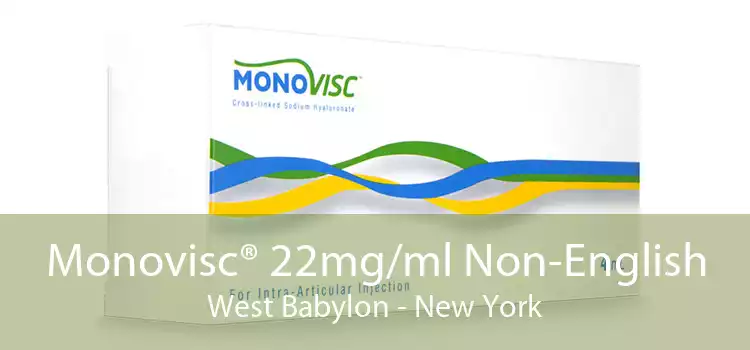 Monovisc® 22mg/ml Non-English West Babylon - New York