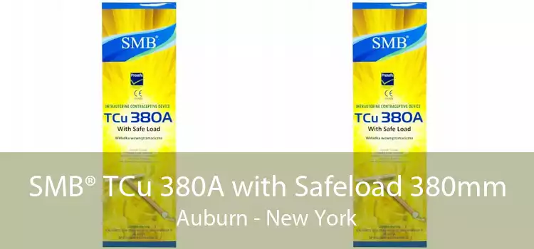 SMB® TCu 380A with Safeload 380mm Auburn - New York