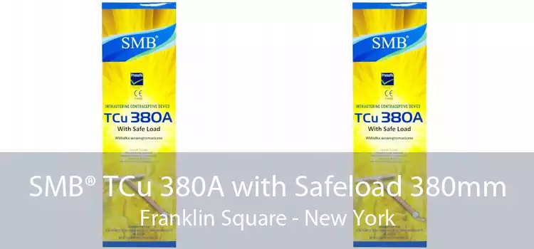 SMB® TCu 380A with Safeload 380mm Franklin Square - New York