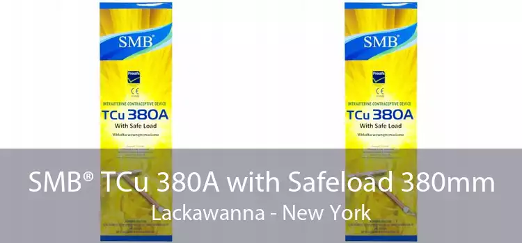 SMB® TCu 380A with Safeload 380mm Lackawanna - New York
