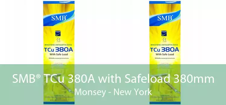 SMB® TCu 380A with Safeload 380mm Monsey - New York