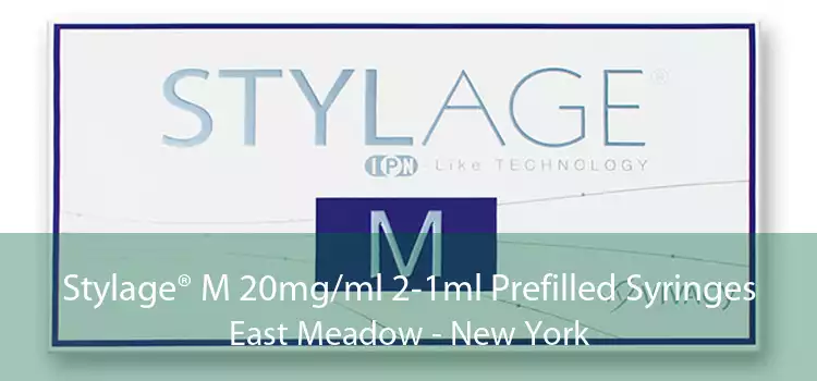 Stylage® M 20mg/ml 2-1ml Prefilled Syringes East Meadow - New York