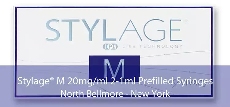 Stylage® M 20mg/ml 2-1ml Prefilled Syringes North Bellmore - New York
