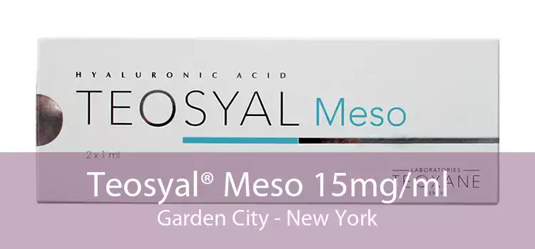 Teosyal® Meso 15mg/ml Garden City - New York