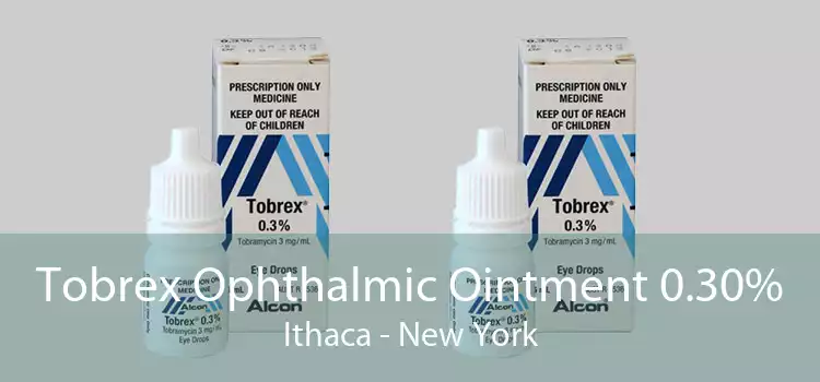 Tobrex Ophthalmic Ointment 0.30% Ithaca - New York