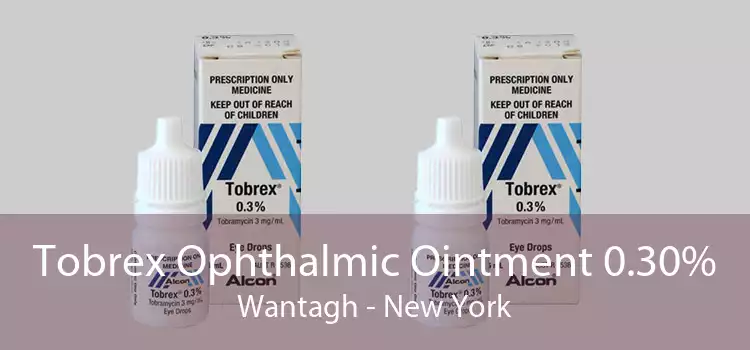 Tobrex Ophthalmic Ointment 0.30% Wantagh - New York